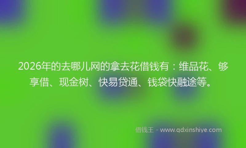 2026年的去哪儿网的拿去花借钱有：维品花、够享借、现金树、快易贷通、钱袋快融途等。