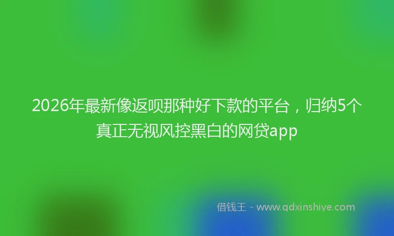 2026年最新像返呗那种好下款的平台，归纳5个真正无视风控黑白的网贷app