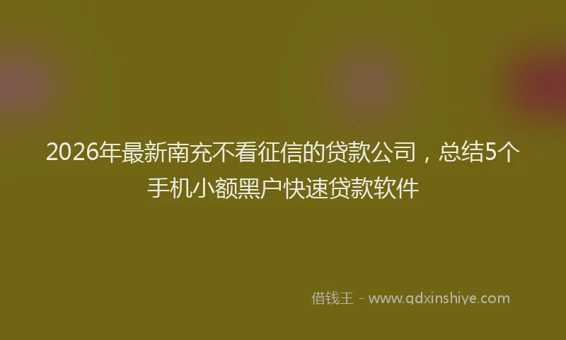 2026年最新南充不看征信的贷款公司，总结5个手机小额黑户快速贷款软件