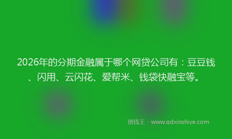 2026年的分期金融属于哪个网贷公司有:豆豆钱、闪用、云闪花、爱帮米、钱袋快融宝等。