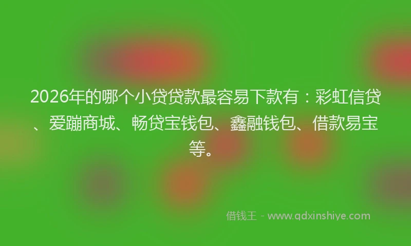 2026年的哪个小贷贷款最容易下款有:彩虹信贷、爱蹦商城、畅贷宝钱包、鑫融钱包、借款易宝等。