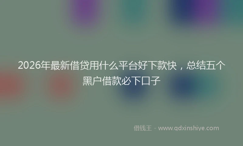 2026年最新借贷用什么平台好下款快,总结五个黑户借款必下口子