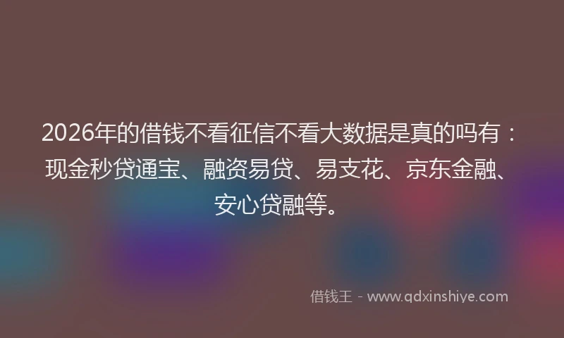 2026年的借钱不看征信不看大数据是真的吗有：现金秒贷通宝、融资易贷、易支花、京东金融、安心贷融等。