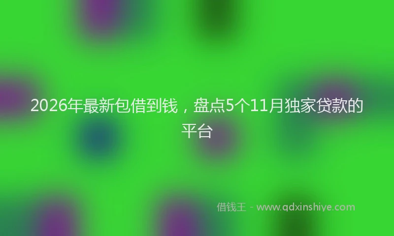 2026年最新包借到钱,盘点5个11月独家贷款的平台