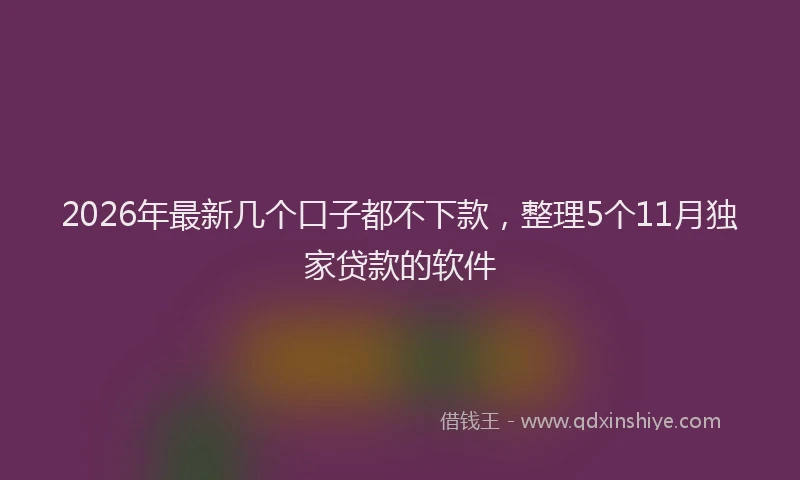 2026年最新几个口子都不下款，整理5个11月独家贷款的软件