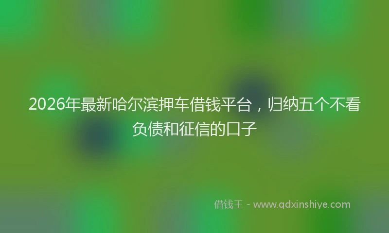 2026年最新哈尔滨押车借钱平台,归纳五个不看负债和征信的口子
