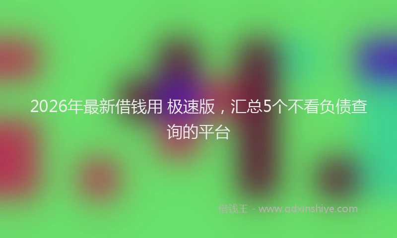 2026年最新借钱用 极速版,汇总5个不看负债查询的平台