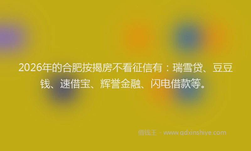 2026年的合肥按揭房不看征信有:瑞雪贷、豆豆钱、速借宝、辉誉金融、闪电借款等。