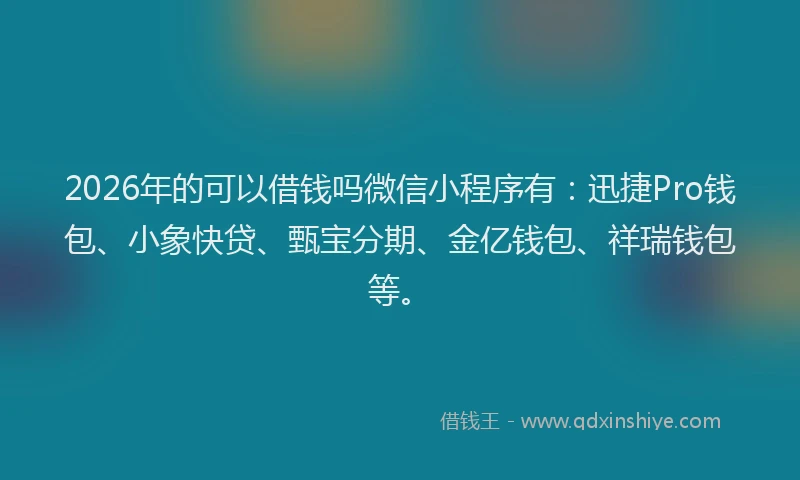 2026年的可以借钱吗微信小程序有：迅捷Pro钱包、小象快贷、甄宝分期、金亿钱包、祥瑞钱包等。