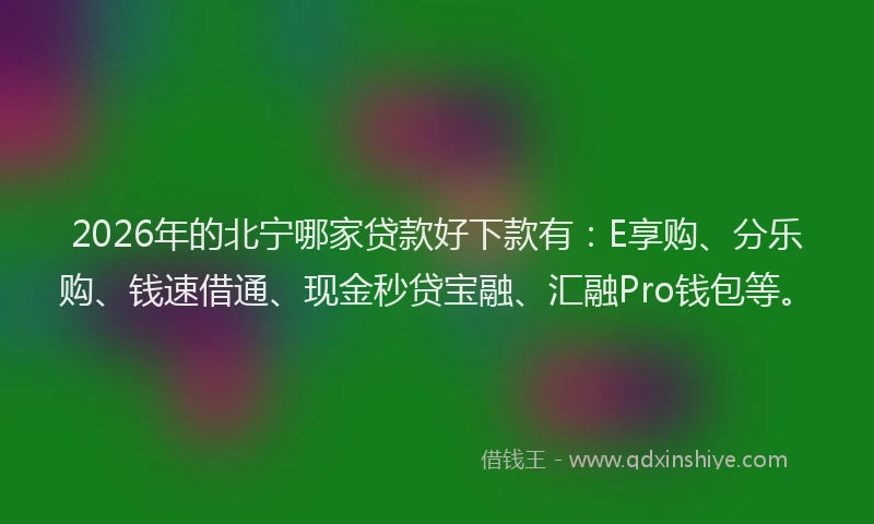2026年的北宁哪家贷款好下款有：E享购、分乐购、钱速借通、现金秒贷宝融、汇融Pro钱包等。
