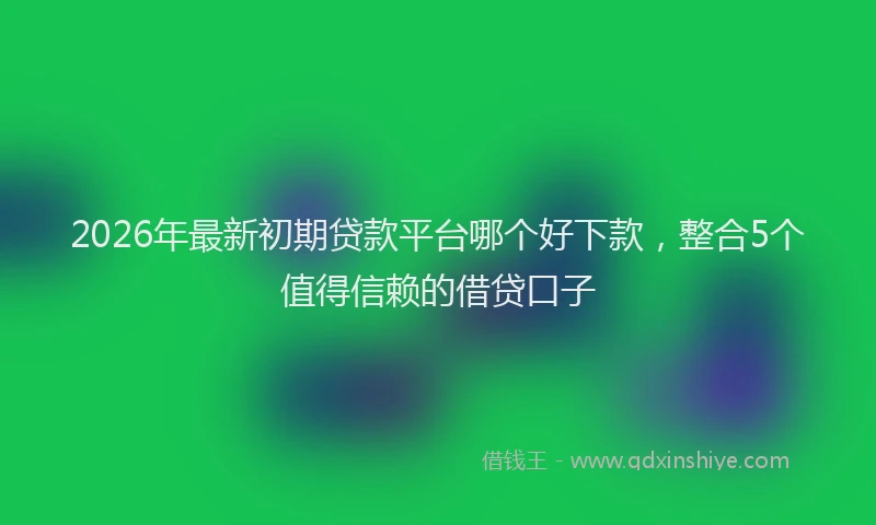 2026年最新初期贷款平台哪个好下款，整合5个值得信赖的借贷口子