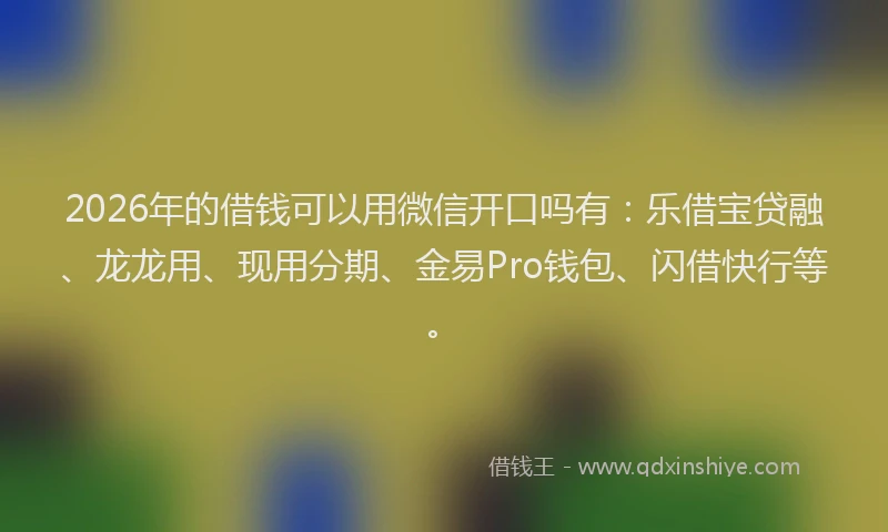 2026年的借钱可以用微信开口吗有:乐借宝贷融、龙龙用、现用分期、金易Pro钱包、闪借快行等。
