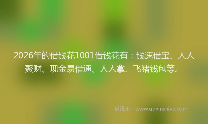 2026年的借钱花1001借钱花有：钱速借宝、人人聚财、现金易借通、人人拿、飞猪钱包等。