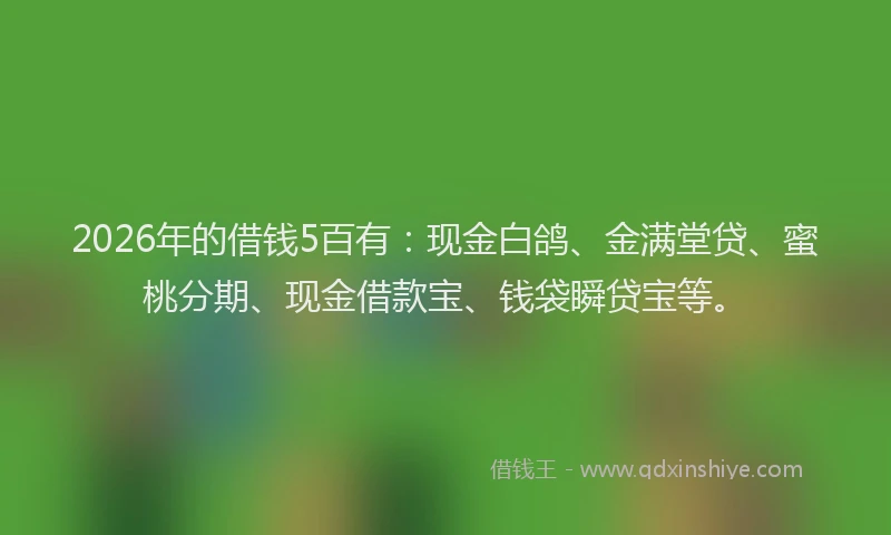 2026年的借钱5百有：现金白鸽、金满堂贷、蜜桃分期、现金借款宝、钱袋瞬贷宝等。