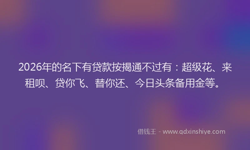2026年的名下有贷款按揭通不过有:超级花、来租呗、贷你飞、替你还、今日头条备用金等。