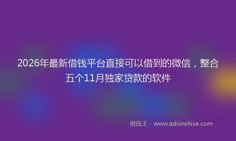 2026年最新借钱平台直接可以借到的微信，整合五个11月独家贷款的软件