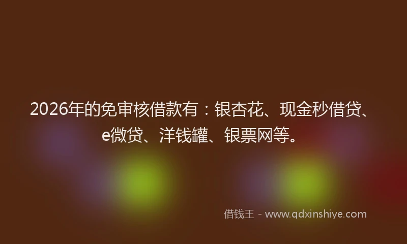 2026年的免审核借款有：银杏花、现金秒借贷、e微贷、洋钱罐、银票网等。