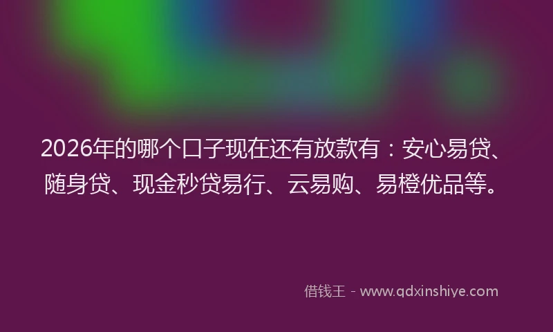 2026年的哪个口子现在还有放款有：安心易贷、随身贷、现金秒贷易行、云易购、易橙优品等。