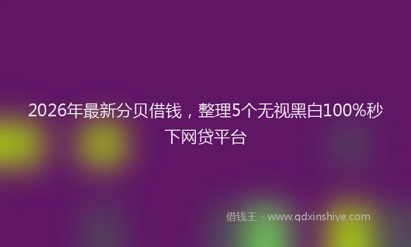2026年最新分贝借钱,整理5个无视黑白100%秒下网贷平台