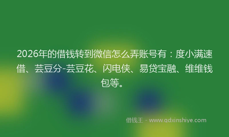 2026年的借钱转到微信怎么弄账号有：度小满速借、芸豆分-芸豆花、闪电侠、易贷宝融、维维钱包等。