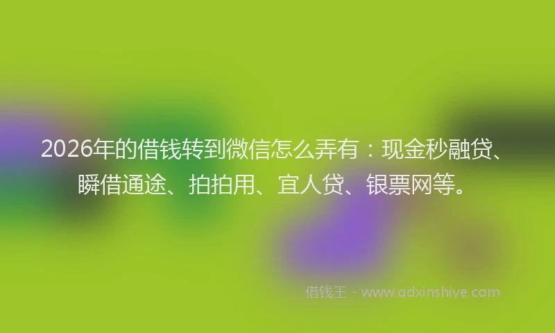 2026年的借钱转到微信怎么弄有：现金秒融贷、瞬借通途、拍拍用、宜人贷、银票网等。