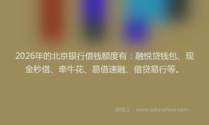 2026年的北京银行借钱额度有：融悦贷钱包、现金秒借、牵牛花、易借速融、借贷易行等。