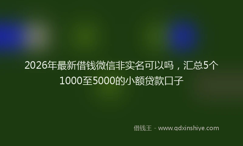 2026年最新借钱微信非实名可以吗，汇总5个1000至5000的小额贷款口子