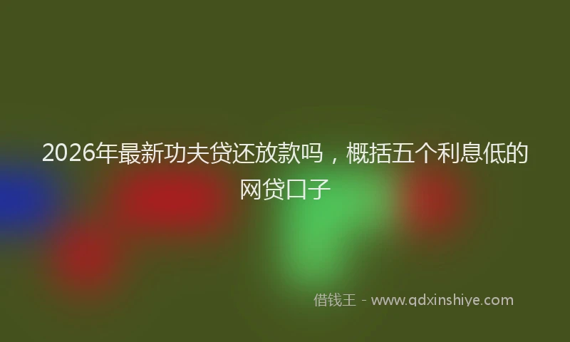 2026年最新功夫贷还放款吗，概括五个利息低的网贷口子