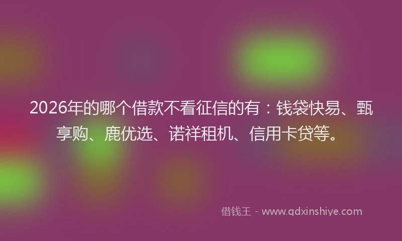 2026年的哪个借款不看征信的有：钱袋快易、甄享购、鹿优选、诺祥租机、信用卡贷等。