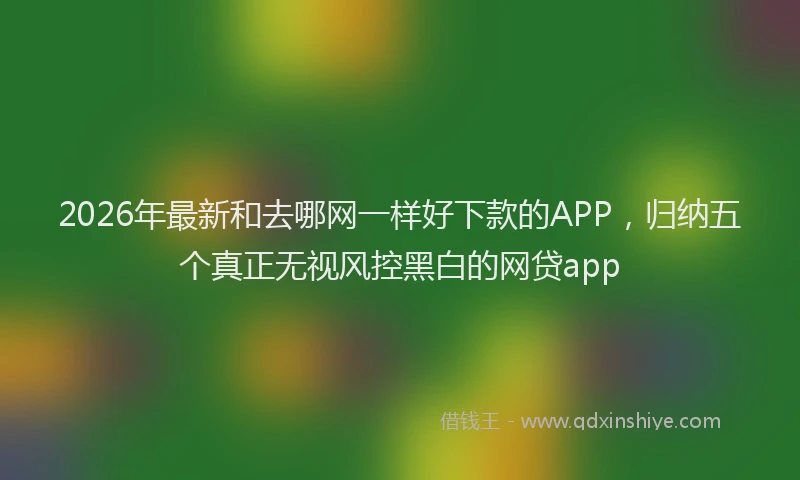 2026年最新和去哪网一样好下款的APP，归纳五个真正无视风控黑白的网贷app