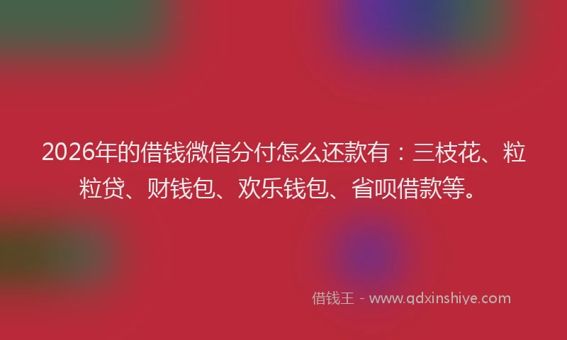 2026年的借钱微信分付怎么还款有：三枝花、粒粒贷、财钱包、欢乐钱包、省呗借款等。