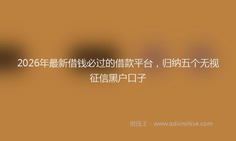 2026年最新借钱必过的借款平台,归纳五个无视征信黑户口子