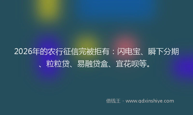 2026年的农行征信完被拒有：闪电宝、瞬下分期、粒粒贷、易融贷盒、宜花呗等。