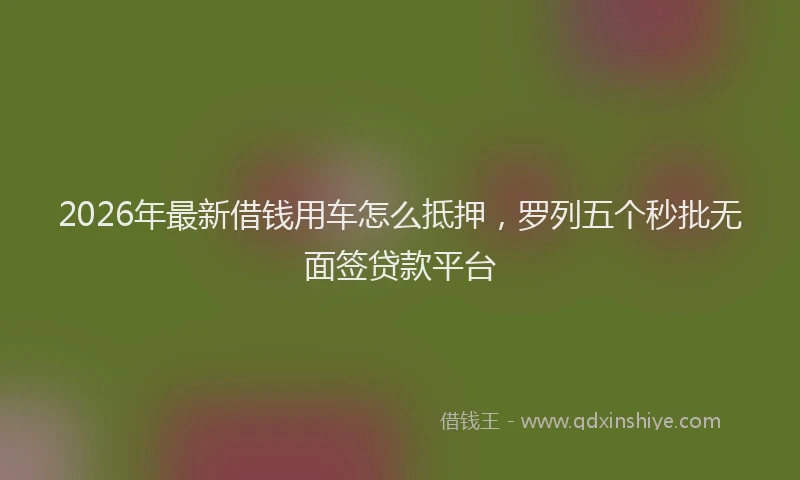 2026年最新借钱用车怎么抵押，罗列五个秒批无面签贷款平台