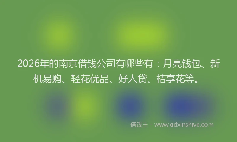 2026年的南京借钱公司有哪些有：月亮钱包、新机易购、轻花优品、好人贷、桔享花等。