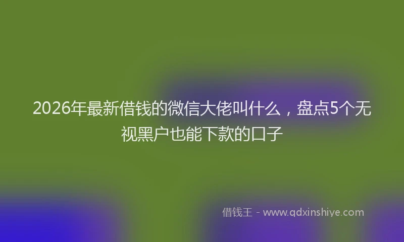 2026年最新借钱的微信大佬叫什么，盘点5个无视黑户也能下款的口子