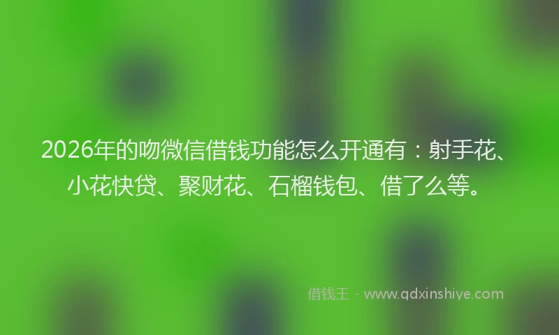 2026年的吻微信借钱功能怎么开通有：射手花、小花快贷、聚财花、石榴钱包、借了么等。