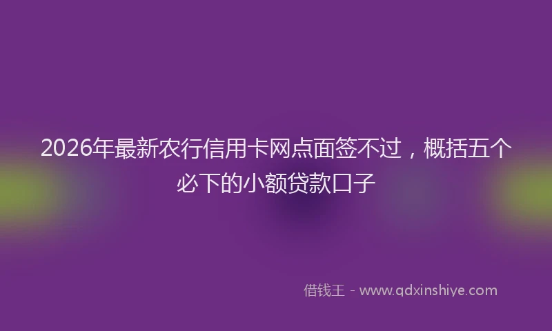 2026年最新农行信用卡网点面签不过，概括五个必下的小额贷款口子