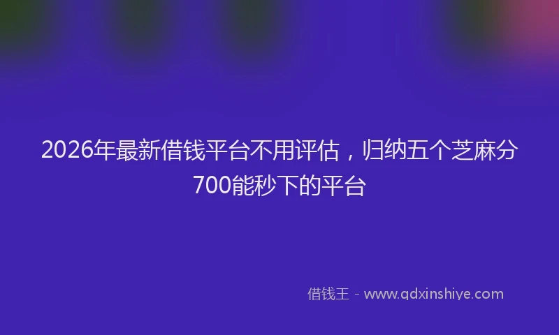 2026年最新借钱平台不用评估,归纳五个芝麻分700能秒下的平台