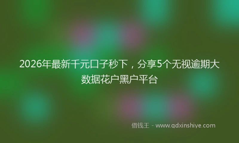 2026年最新千元口子秒下,分享5个无视逾期大数据花户黑户平台