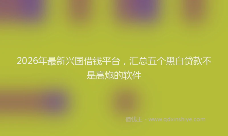 2026年最新兴国借钱平台，汇总五个黑白贷款不是高炮的软件