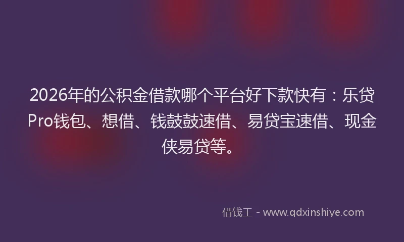 2026年的公积金借款哪个平台好下款快有：乐贷Pro钱包、想借、钱鼓鼓速借、易贷宝速借、现金侠易贷等。