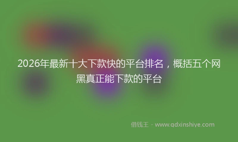 2026年最新十大下款快的平台排名，概括五个网黑真正能下款的平台