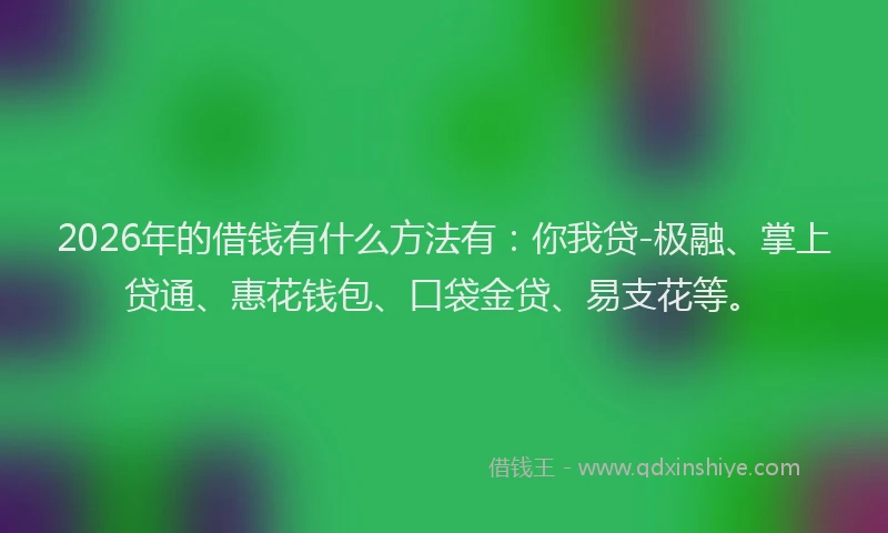2026年的借钱有什么方法有：你我贷-极融、掌上贷通、惠花钱包、口袋金贷、易支花等。