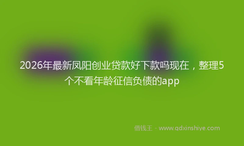 2026年最新凤阳创业贷款好下款吗现在,整理5个不看年龄征信负债的app