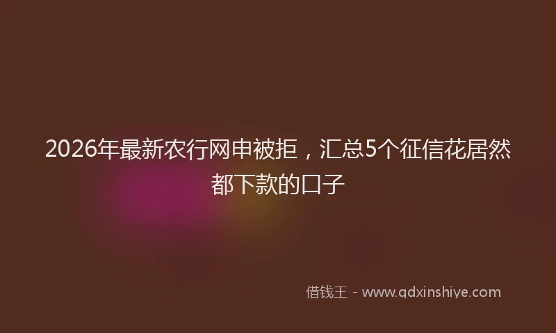 2026年最新农行网申被拒,汇总5个征信花居然都下款的口子