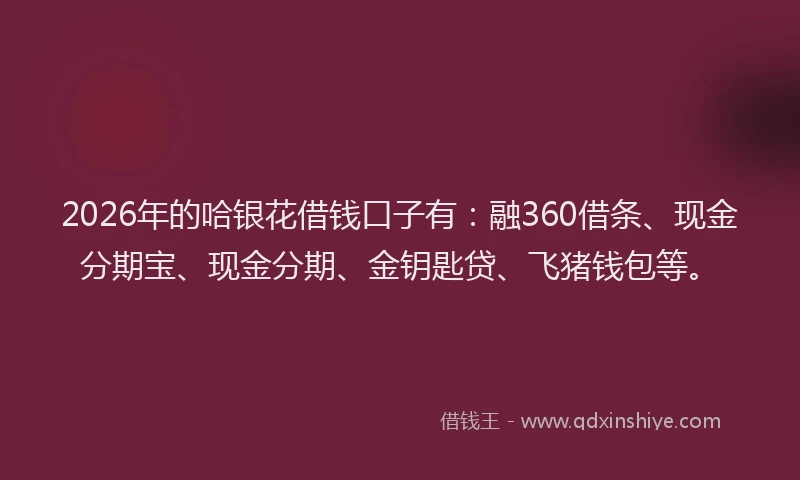 2026年的哈银花借钱口子有：融360借条、现金分期宝、现金分期、金钥匙贷、飞猪钱包等。