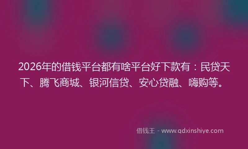 2026年的借钱平台都有啥平台好下款有：民贷天下、腾飞商城、银河信贷、安心贷融、嗨购等。