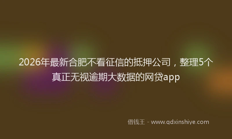 2026年最新合肥不看征信的抵押公司,整理5个真正无视逾期大数据的网贷app