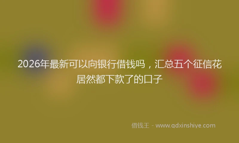 2026年最新可以向银行借钱吗,汇总五个征信花居然都下款了的口子